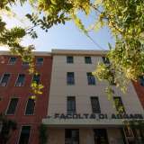 La collezione di 40mila insetti � conservata all�interno della facolt� di Agraria del Campus universitario di Bari
